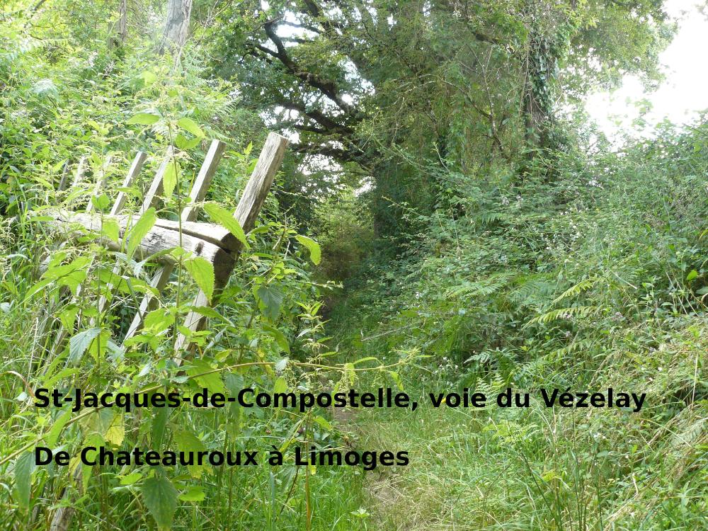 C'est l'image titre. St-Jacques de compostelle, la voix du Vézelay, de Chateauroux à Limoges. Le sentier passe par entre deux prairie. Un portail en bois, très simple est ouvert.