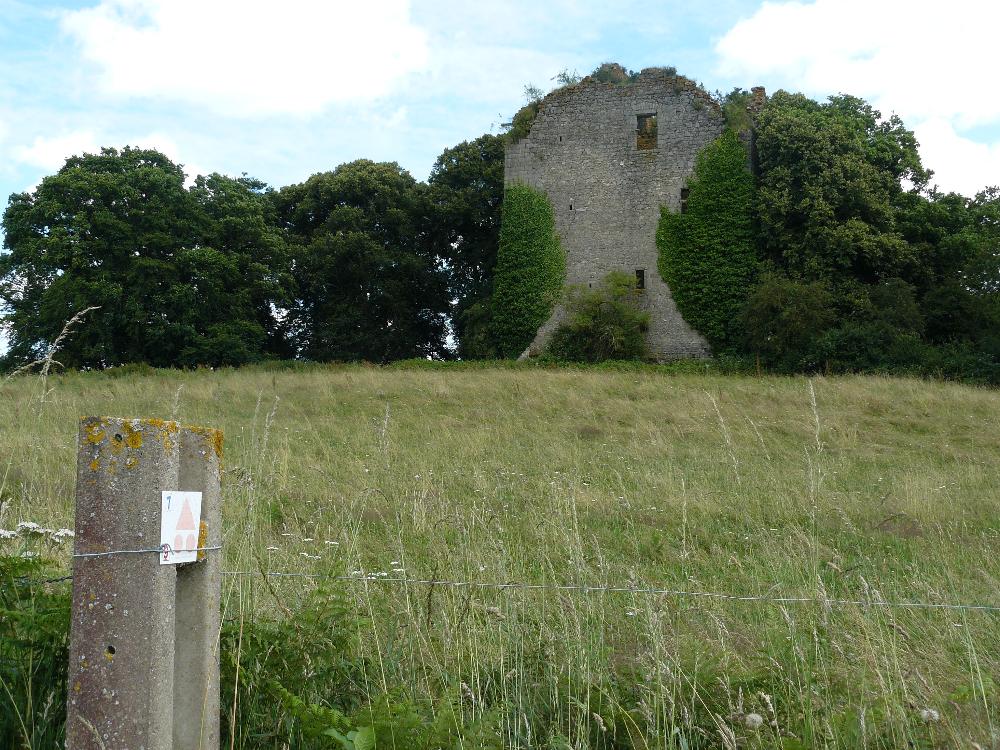 Dans une prairie pour mouton, une lignée d’arbre obstrue le paysage. Ils sont en train de grignoter les ruines du donjon de Chamborand. 