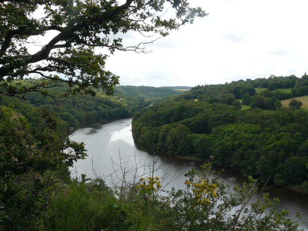 Le chemin monte, monte on débouche sur une boucle de la Creuse. La Creuse aux reflets châtains est bordée de pentes très arborées où parfois pointent quelques parcelles agricoles en pâture ou cultivées.