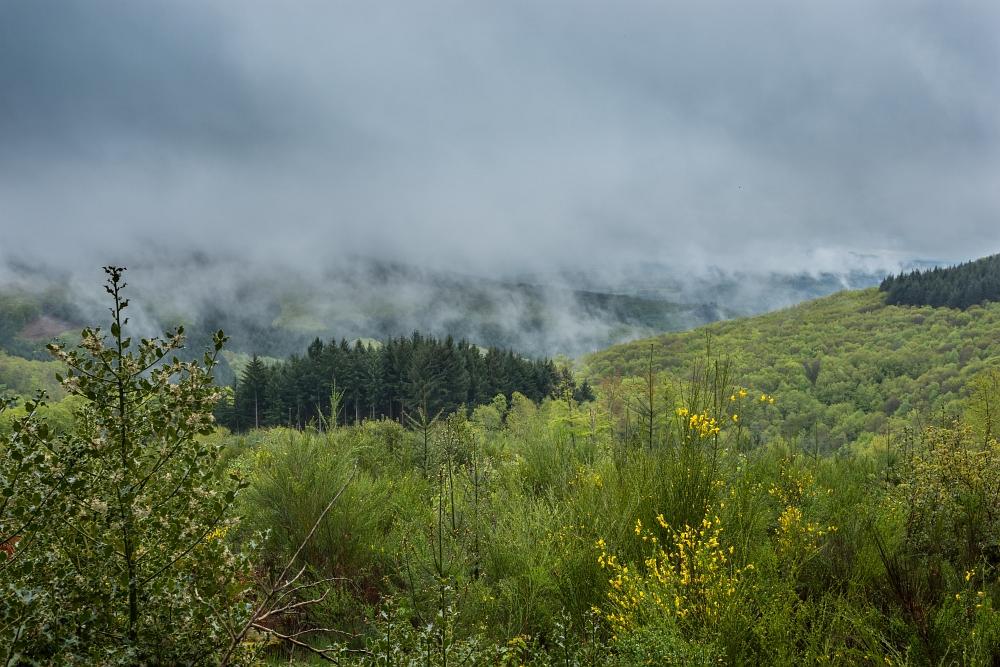 paysage tout gris mêlant les nuages et le brouillard